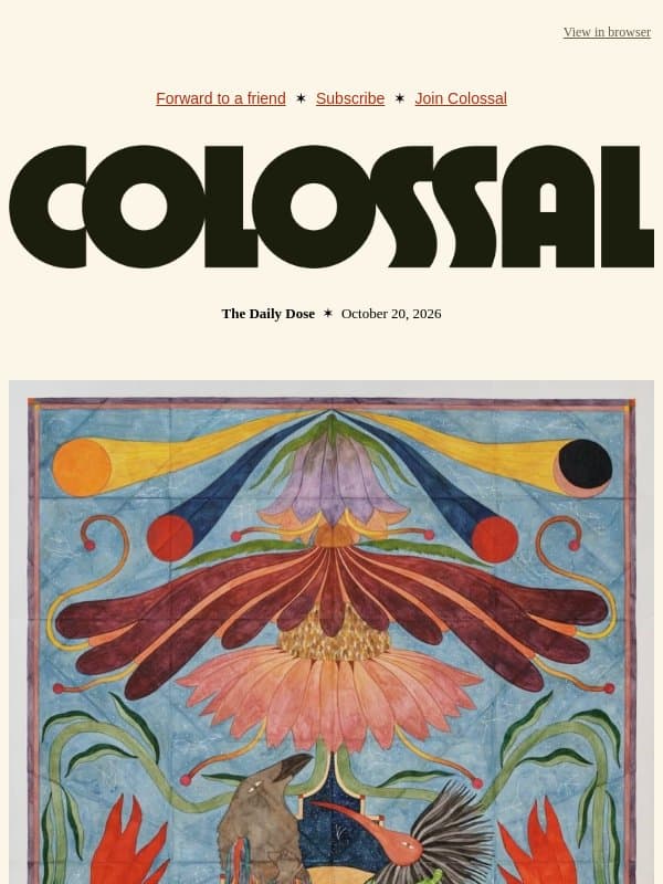 The Dreaming Realm email from Colossal