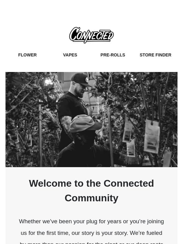 You’re In. Welcome to Connected. email from Connected Cannabis Co.