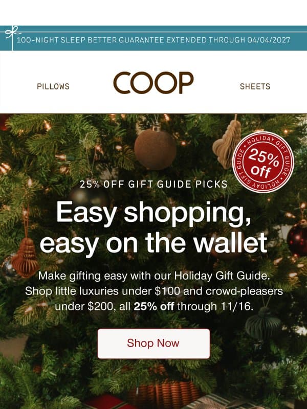 Inside: gifts under $100 email from Coop Home Goods
