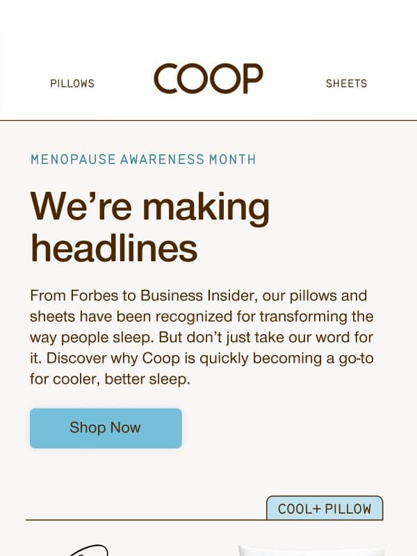In the news... email from Coop Home Goods