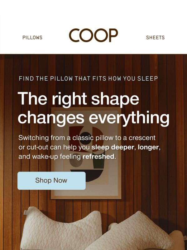 Attention: side and back sleepers email from Coop Home Goods