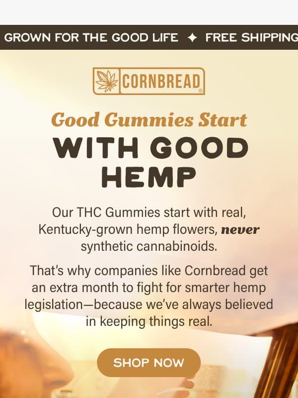Why our THC Gummies set the standard ↗️ email from Cornbread Hemp