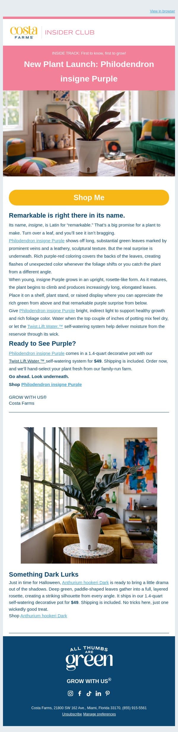 New Plant Launch: Philodendron insigne Purple email from Costa Farms screenshot