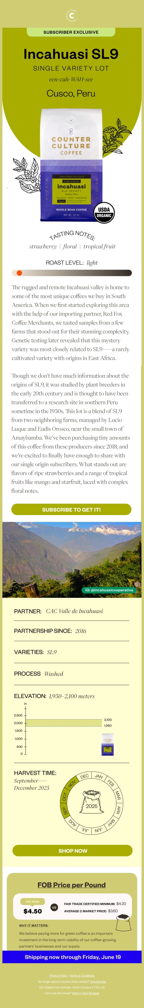 New Subscriber Exclusive email from Counter Culture Coffee screenshot