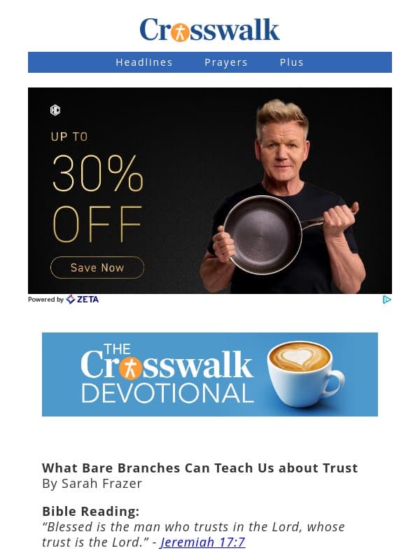 What Bare Branches Can Teach Us about Trust - The Crosswalk Devotional - October 19 email from Crosswalk.com
