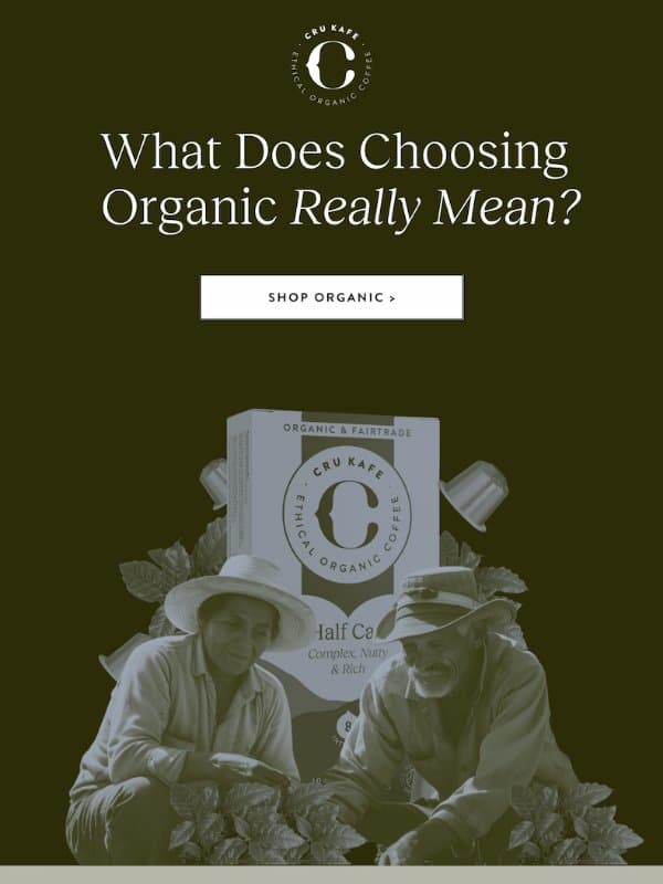 What goes into your coffee? email from Cru Kafé