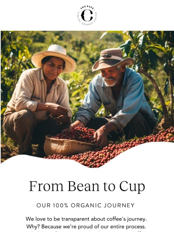 What ethical organic coffee really means. email from Cru Kafé