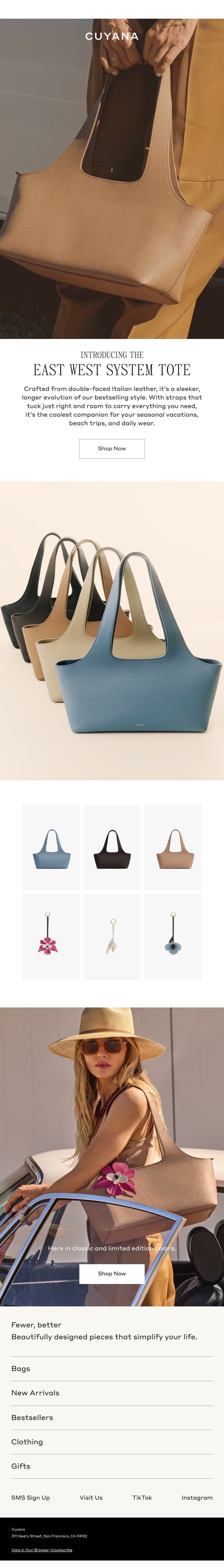 New East West System Tote email from Cuyana screenshot
