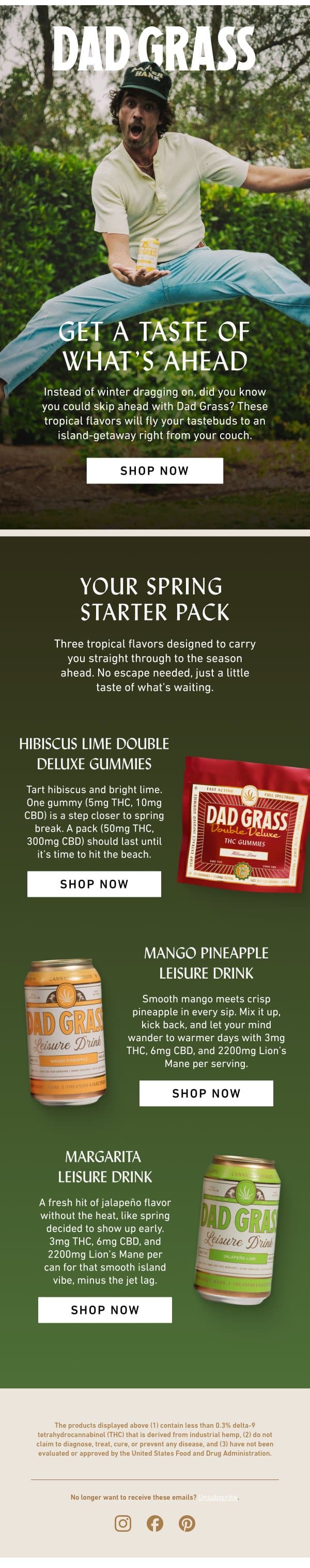 Consider this buzz a lil spring preview email from Dad Grass screenshot