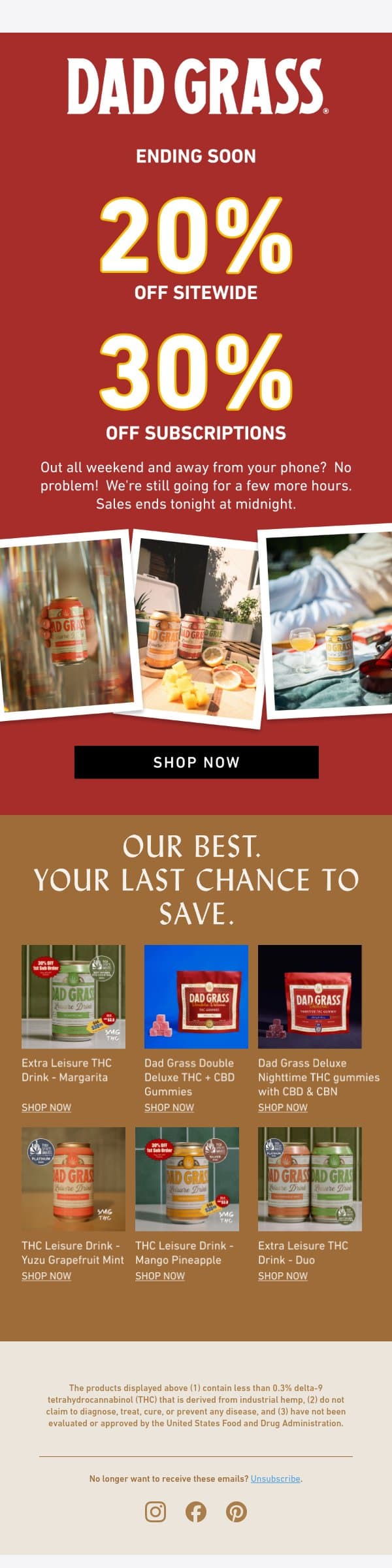Last chance: 20% off everything ends at midnight email from Dad Grass screenshot