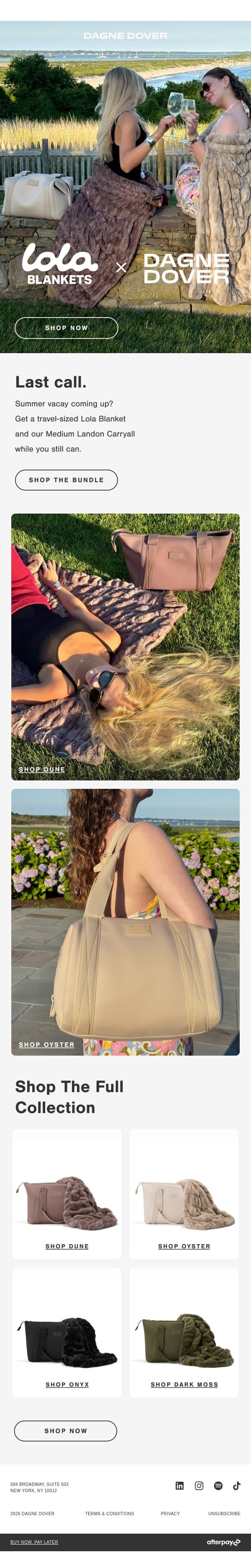 LAST CALL: LOLA BLANKETS COLLAB. email from Dagne Dover screenshot