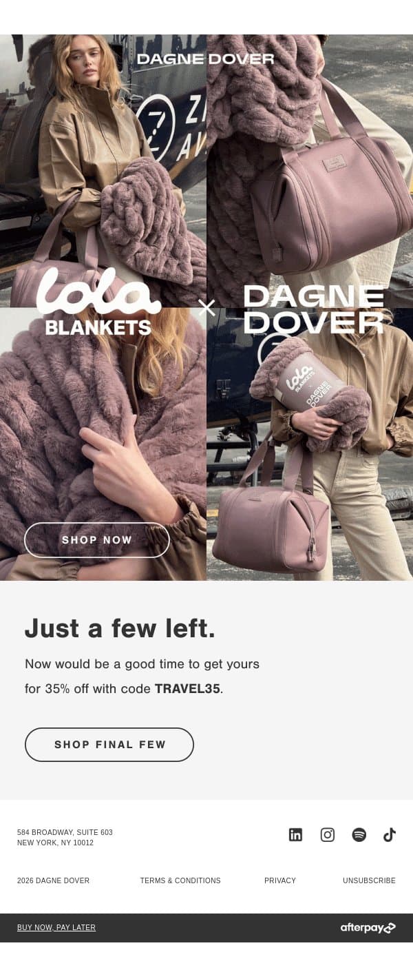 FINAL FEW: LOLA BLANKETS COLLAB. email from Dagne Dover screenshot