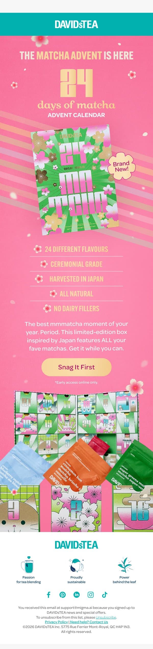 NEW!! Matcha Advent EARLY ACCESS 💚 email from DAVIDsTEA screenshot