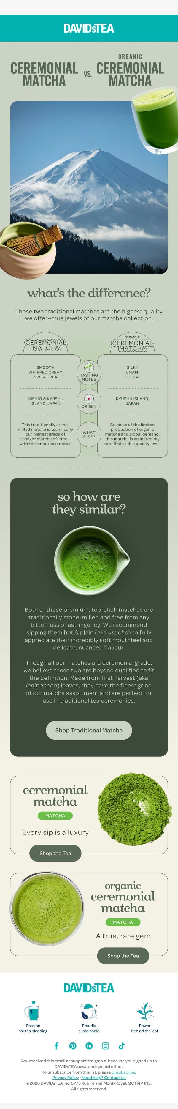 Meet our highest quality matchas email from DAVIDsTEA screenshot