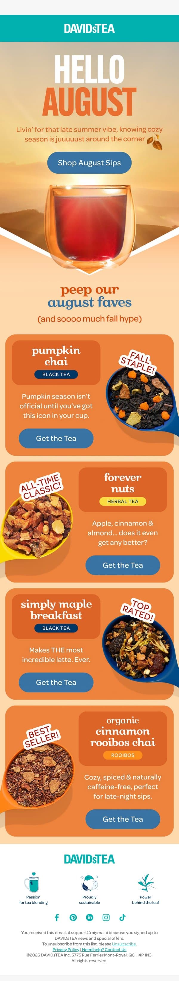 Our August faves 🤩 email from DAVIDsTEA screenshot