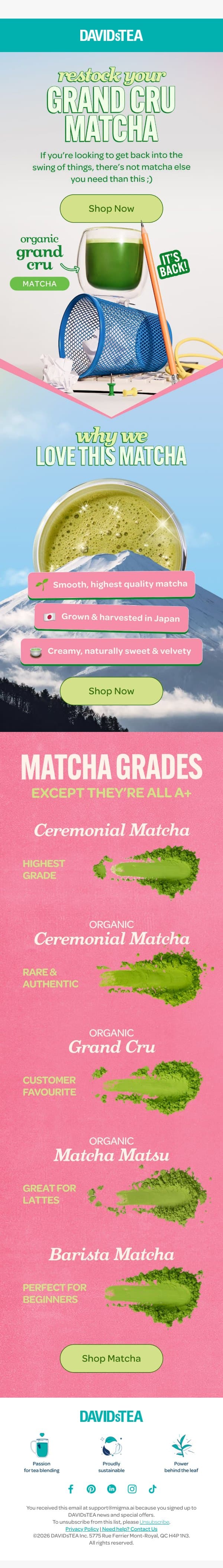 Your matcha ritual called ☁️ email from DAVIDsTEA screenshot