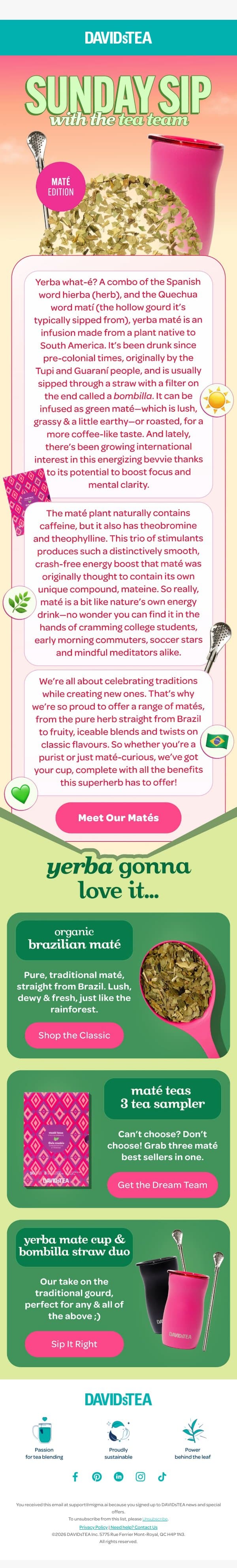 Sunday Sip, yerba maté-style 🧉 email from DAVIDsTEA screenshot
