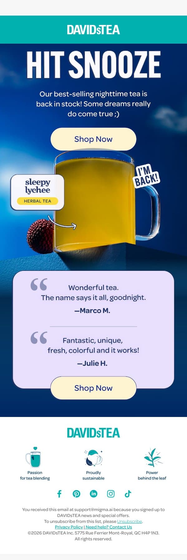 Our best-selling nighttime tea email from DAVIDsTEA screenshot