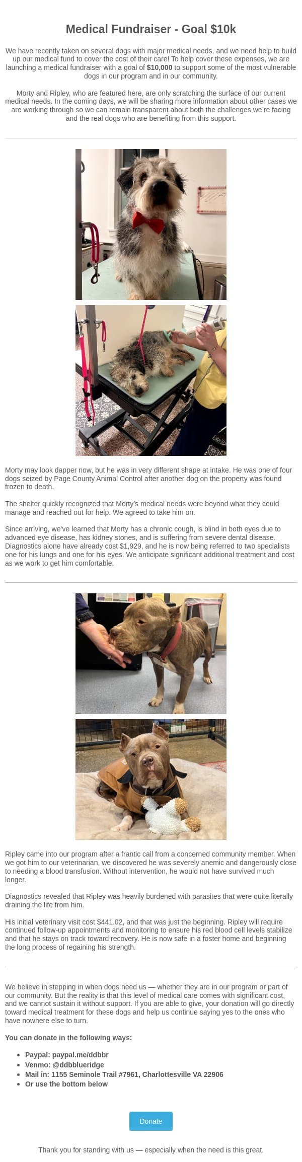 We need help! Medical Fundraiser - 10k Goal email from Dogs Deserve Better screenshot