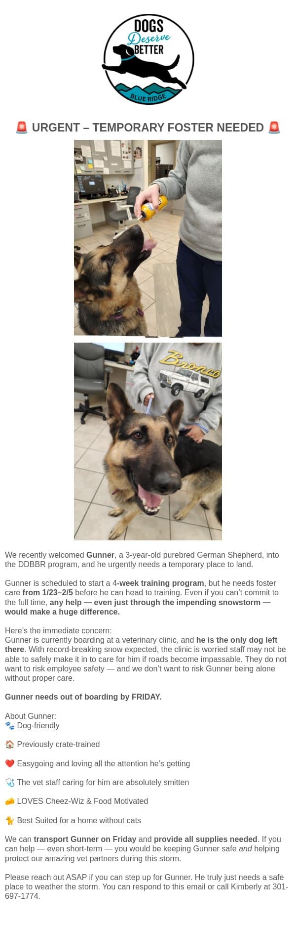 Snowstorm Incoming — Gunner Needs A Temp Foster email from Dogs Deserve Better screenshot