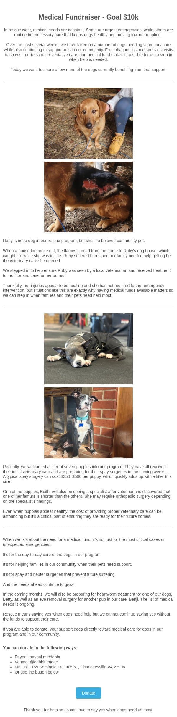 Final Push - Why our medical fund matters! email from Dogs Deserve Better screenshot
