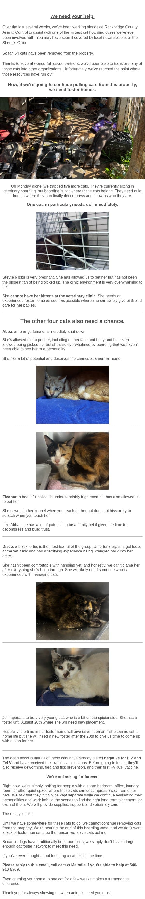 Deseperate for help! Five Cats. No Foster Homes. email from Dogs Deserve Better screenshot