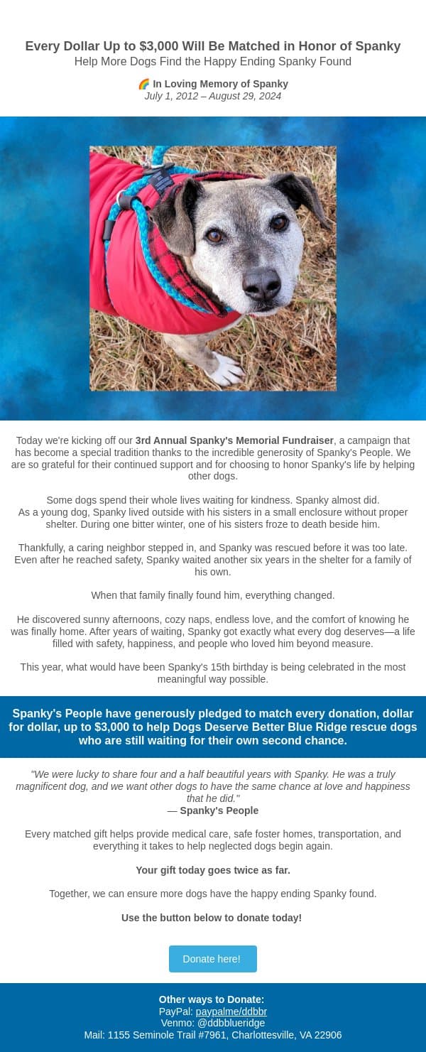 Spanky's Legacy Lives On— Match Campaign Fundraiser! email from Dogs Deserve Better screenshot