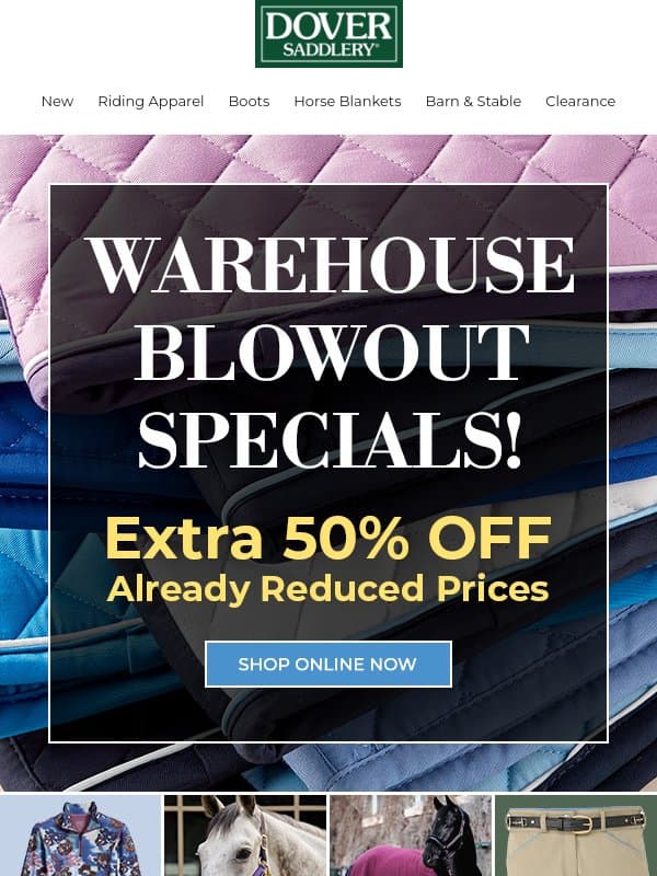 WAREHOUSE BLOWOUT: Extra 50% Off Already Reduced Prices! email from Dover Saddlery
