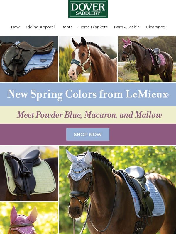 Introducing the NEW LeMieux Spring Colors! email from Dover Saddlery