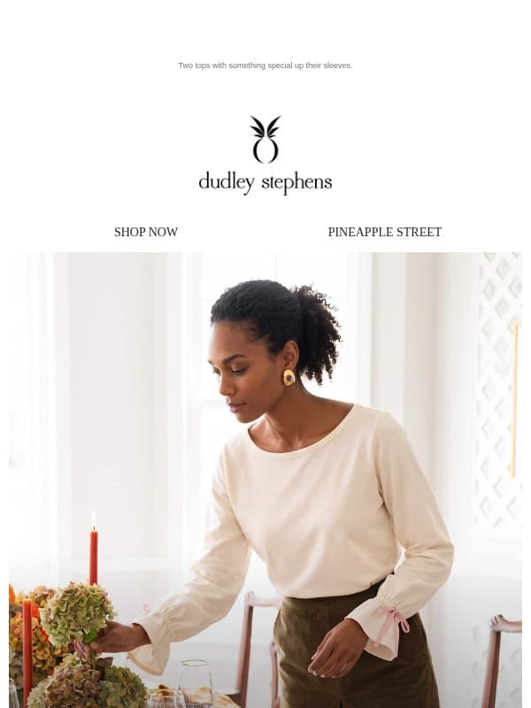 Dropping Now: Chic Sleeves email from Dudley Stephens