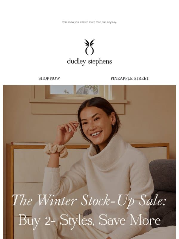 The Winter Stock-Up Sale: Up to 25% Off email from Dudley Stephens