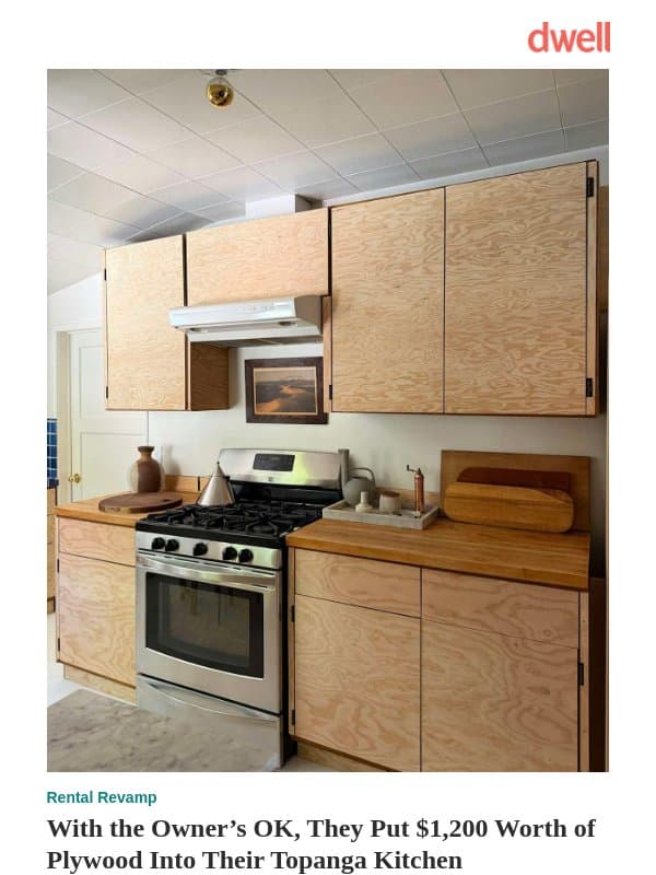 What’s Up With All These Viral Brands Duping Themselves? email from Dwell