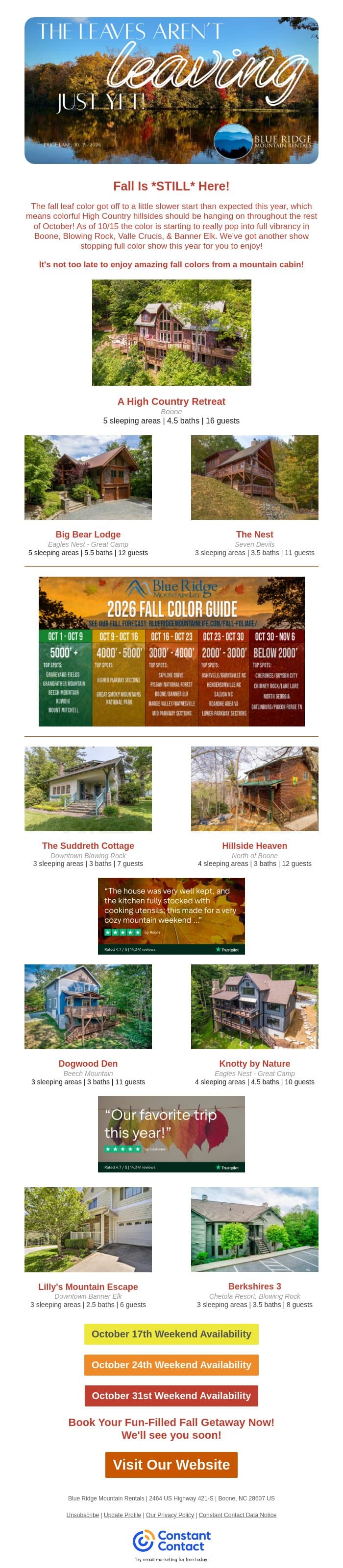 The Leaves Aren't Leaving Just Yet! email from Eco-Products screenshot