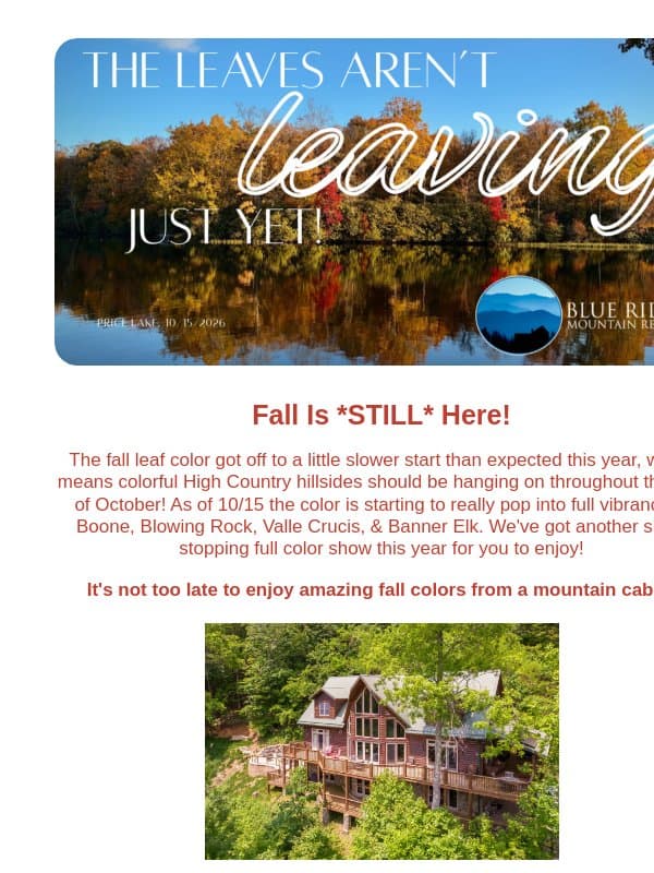 The Leaves Aren't Leaving Just Yet! email from Eco-Products