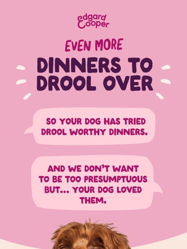 More treats for your eyeballs (and their tastebuds) email from Edgard and Cooper