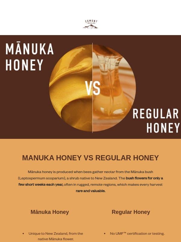 Mānuka Honey vs Regular Honey email from Egmont Honey