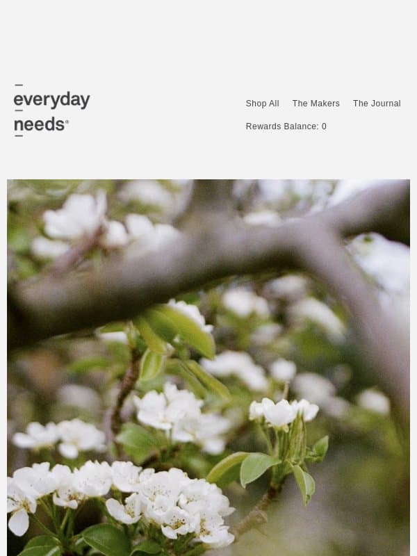 Spring Refresh // Iris Hantverk + Japanese Craft email from Everyday Needs