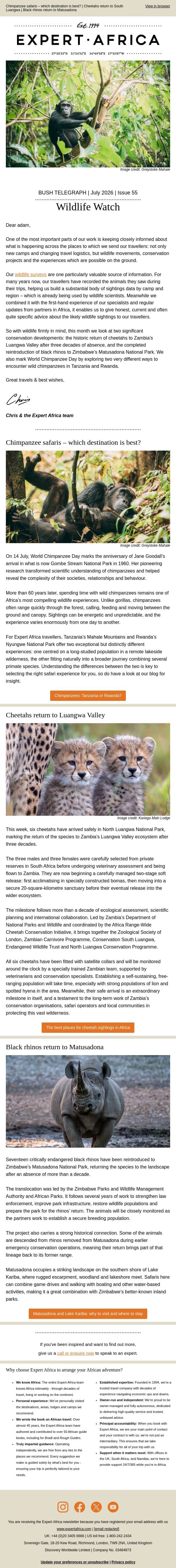 Bush Telegraph | Wildlife Watch email from Expert Africa screenshot