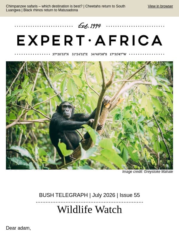 Bush Telegraph | Wildlife Watch email from Expert Africa