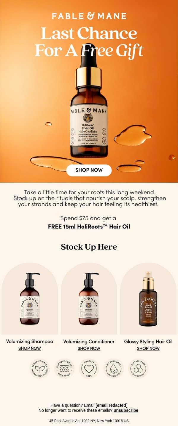 Last Chance for Your Free Gift π email from Fable & Mane screenshot