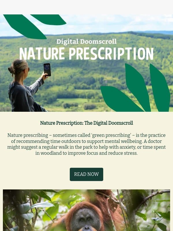Your Nature Prescription 🌿 email from Faith in Nature