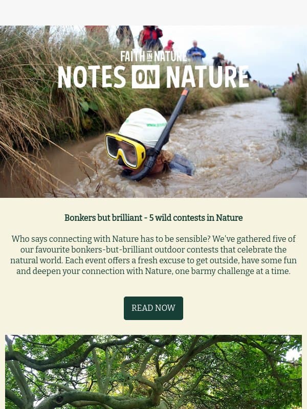 How To Connect With Nature: From bonkers to bugs 🐞 email from Faith in Nature