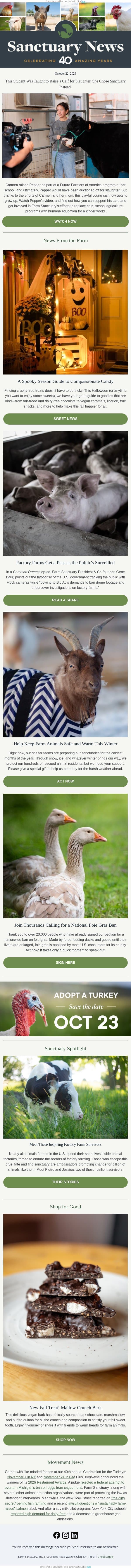 A student gave this calf a chance to grow up email from Farm Sanctuary screenshot