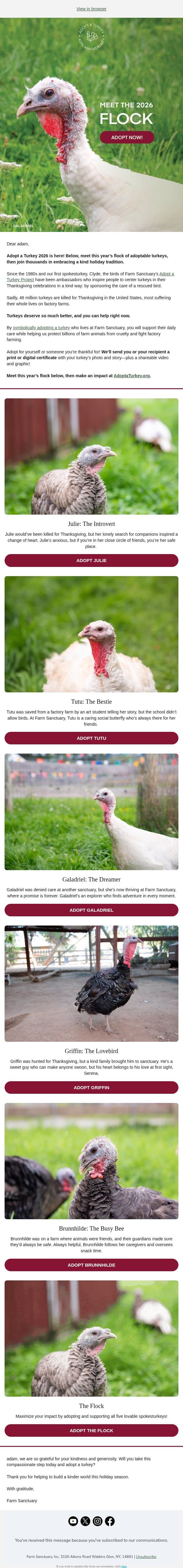 It’s time: Adopt a Turkey is here! email from Farm Sanctuary screenshot