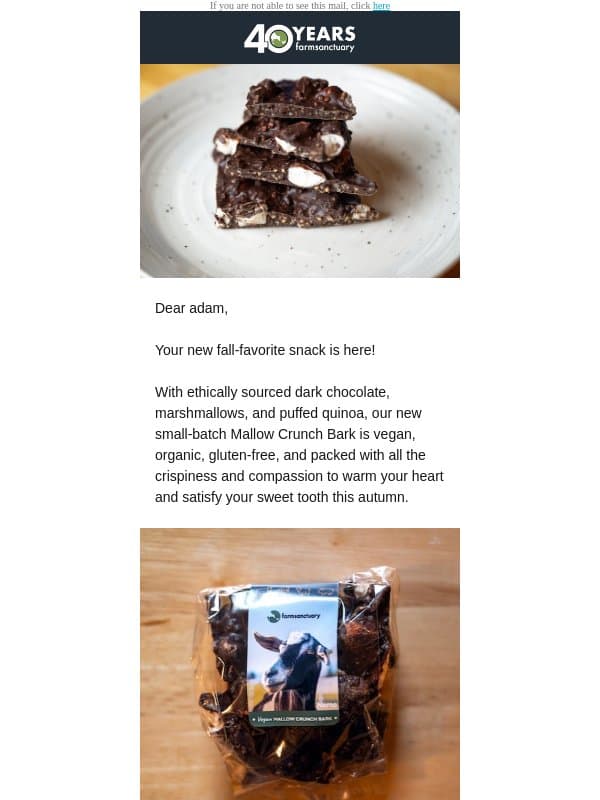 Cozy up with this fall treat! email from Farm Sanctuary