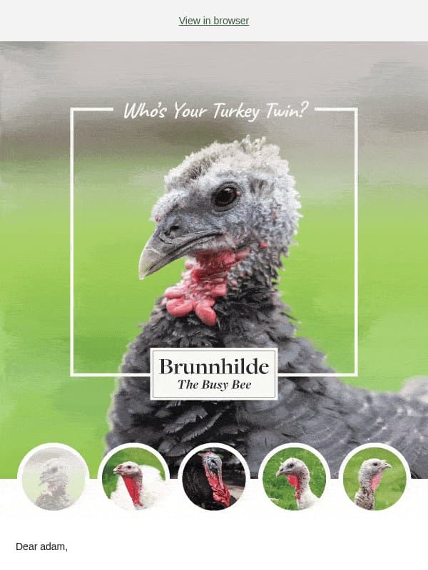 Meet your turkey twin! email from Farm Sanctuary