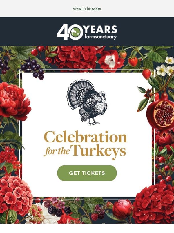 A holiday event to remember! email from Farm Sanctuary