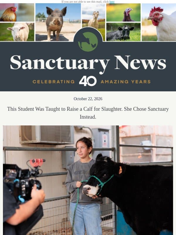 A student gave this calf a chance to grow up email from Farm Sanctuary