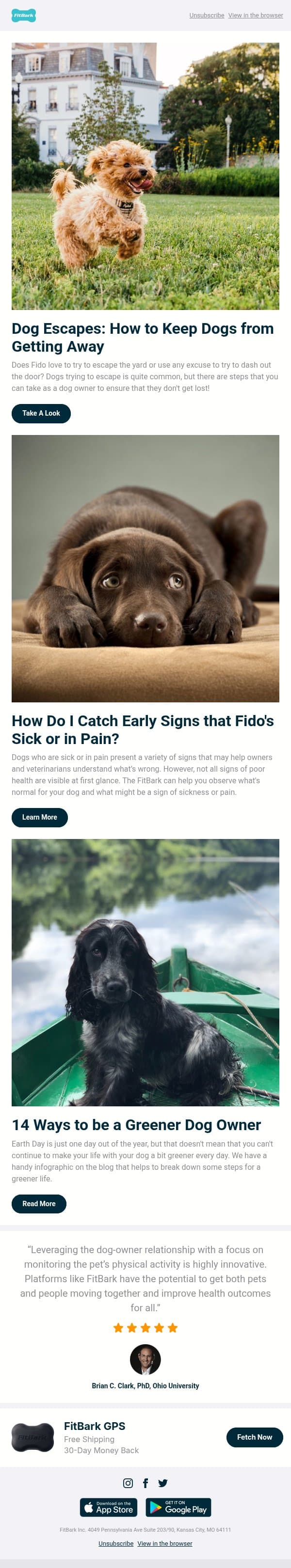 Dog Escapes: How to Keep Dogs From Getting Away email from FitBark screenshot