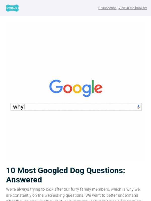 10 Most Googled Dog Questions: Answered email from FitBark